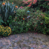 Отель Paradise Found, фото 14