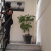 Отель Mesfin Harar Hotel, фото 16