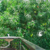 Отель Golden Soulmate Homestay, фото 32