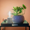 Отель Amazing TERRAZO place, 8 guest!! 4 beds, фото 1