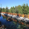 Отель Wanda Ruijing Hannashan Hot Spring Hotel, фото 23