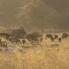 Отель Khulu Bush Camp, фото 15