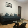Отель Apartament Kiseleff, фото 12