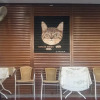 Отель Cocoa Mews Cafe & Homestay - Hostel, фото 21
