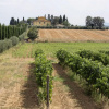 Отель -VILLA ALFREDO in Cortona, фото 17