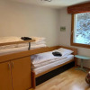Отель Spacious apartment up to 6 people in Flims, фото 4