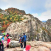 Отель Sokcho Olive Spa Pension, фото 29