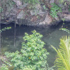 Отель Haley's Paradise at Blue Hole, фото 22