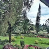 Отель Terrace Villa Golf, фото 29