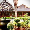 Отель Diamond Rose Guest House, фото 1
