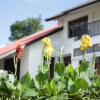 Отель Boulevard Inn Mt Meru, фото 27