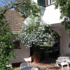 Отель La Posada Del Sol, фото 5