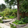 Отель Monteverde Country Lodge, фото 25