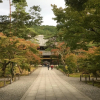 Отель Gate80 Kyoto Nijo, фото 17