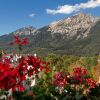 Отель Bergfried Schoenblick, фото 41