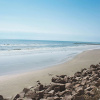Отель Wingate by Wyndham Galveston East Beach, фото 12