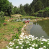 Отель House With 4 Bedrooms in Povoa de Lanhoso, With Wonderful Mountain Vie, фото 24