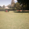 Отель Naivasha Lakeview Resort, фото 12