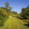 Отель Agriturismo Il Cavicchio, фото 9