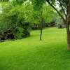 Отель River Hill Lodge, фото 12