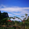 Отель Yangshuo Pure Joy Resort, фото 26