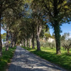 Отель Borgo Petroro, фото 12