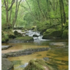 Отель Beautiful Peaceful Property Great for Wildlife, фото 29