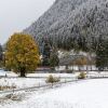 Отель Chalet Apartment in Saalbach-hinterglemm, фото 10