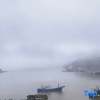 Отель Ligang Seaview Homestay, фото 13