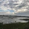 Отель Baan Suan Rim Nam, фото 7