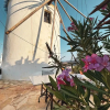 Отель The Windmill Serifos, фото 24