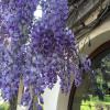 Отель Villa Franciana, фото 16