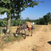 Отель Un Chemin en Quercy, фото 20