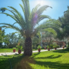 Отель Maria's Resort, фото 10