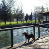 Отель Rimski Most, фото 15