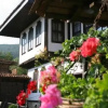 Отель Sava Cupetsa Guest House, фото 11