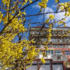 Отель Seehotel Off, фото 16