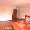 Отель Pensiunea Studio, фото 3