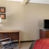 Отель Comfort Inn & Suites Suwanee - Sugarloaf, фото 3