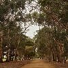 Отель Hanson Bay Wildlife Sanctuary and Cabins, фото 14