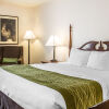 Отель Comfort Inn, фото 17