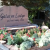 Отель The Galatyn Lodge, фото 14