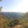 Отель OYO 13664 Home Trip Traveller 2BHK Kamyana, фото 12
