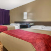 Отель Econo Lodge Sebring, фото 5