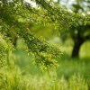 Отель Masseria Ciavea, фото 12