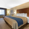 Отель Comfort Inn, фото 4