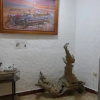 Отель Hostal Estrella de Mar, фото 12