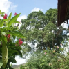 Отель Pousada Recanto Verde, фото 17