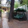 Гостиница Yalta Quiet Courtyard, фото 3