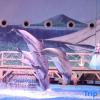 Отель Ocean Style Holiday Hotel (Wuhan Polar Ocean World), фото 20